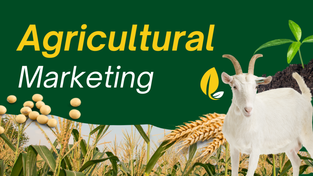 Agricultural Marketing